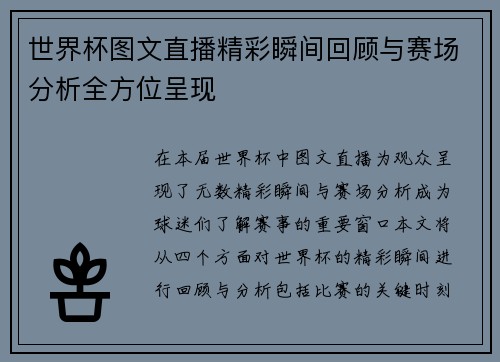 世界杯图文直播精彩瞬间回顾与赛场分析全方位呈现